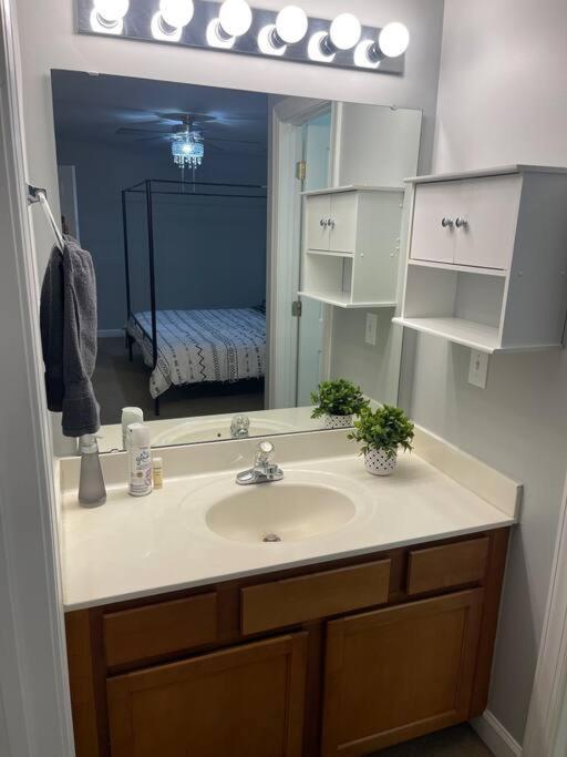 Simple Elegant Townhouse Dt Ncsu Raleigh