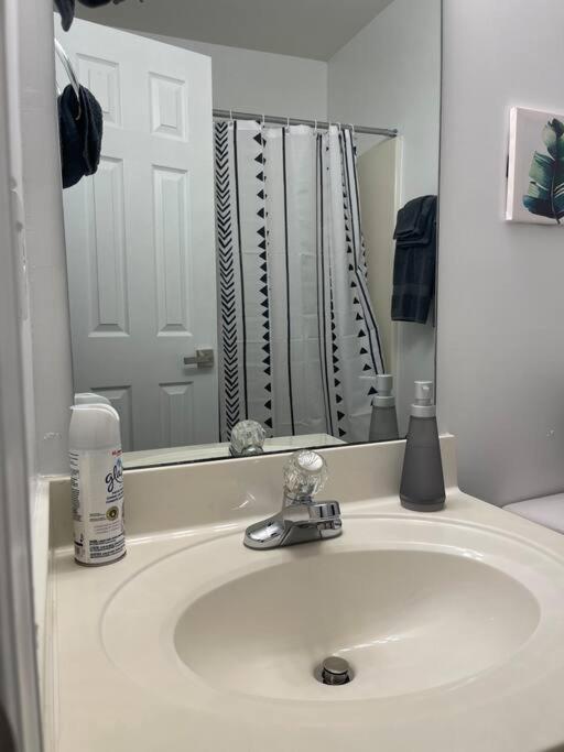 Simple Elegant Townhouse Dt Ncsu Raleigh