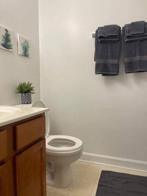 Apartamento Simple Elegant Townhouse Dt Ncsu Raleigh