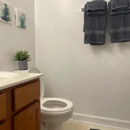 Simple Elegant Townhouse Dt Raleigh Ncsu Apartment Exterior photo